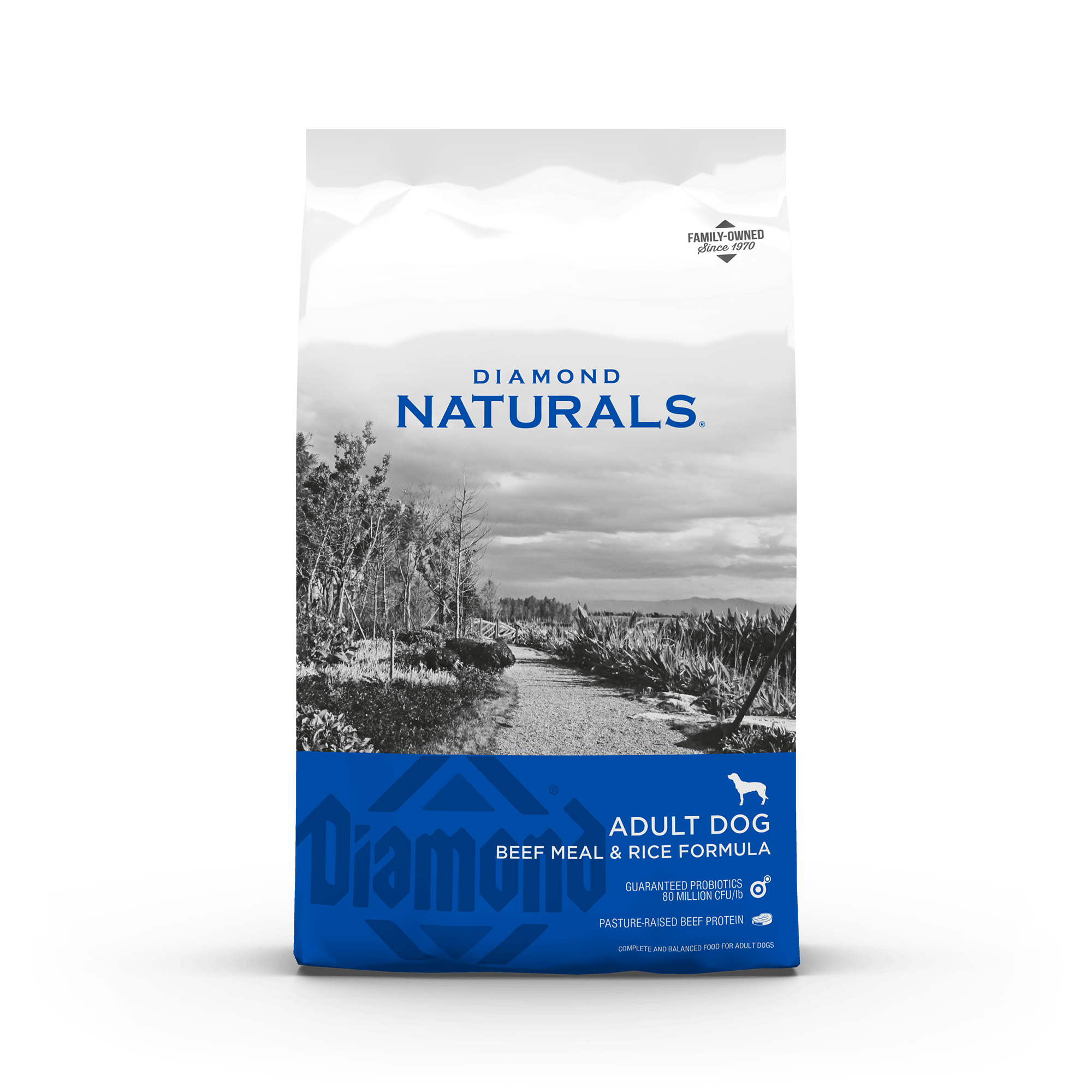 Diamond Naturals Adult Beef & Rice | Dry Dog Food