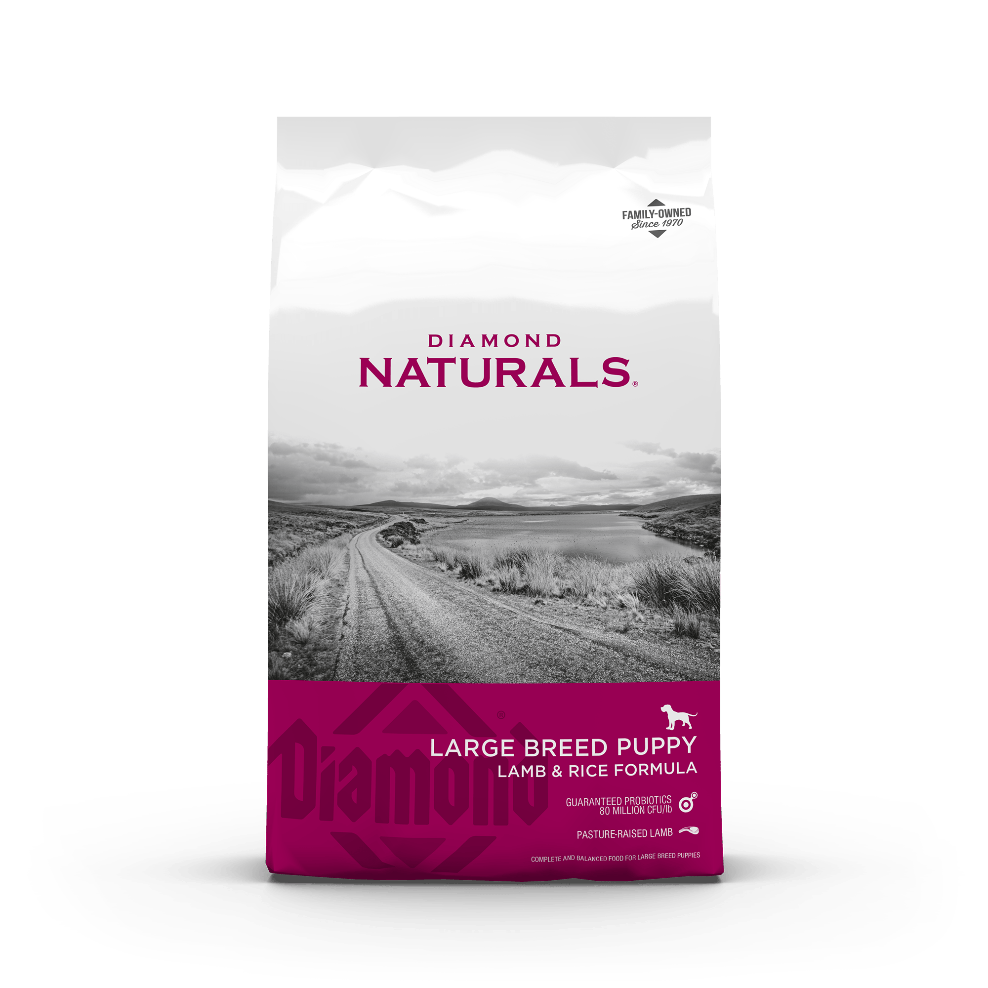 Diamond Naturals Large Breed Puppy Lamb & Rice | Dry Dog Food