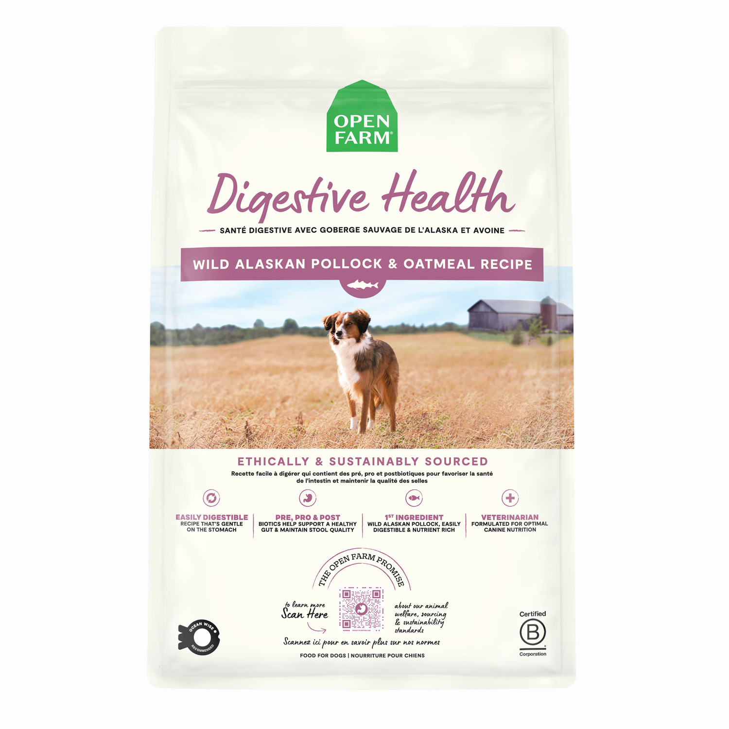 Open Farm Pollock & Oatmeal Digestive Health | Dry Dog Food