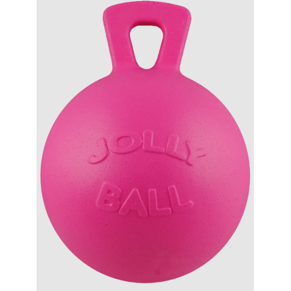 Jolly Ball 10" Assorted | Horse Toy